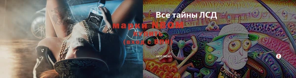 прущий лед Алзамай