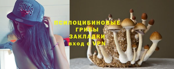 дурь Алексин