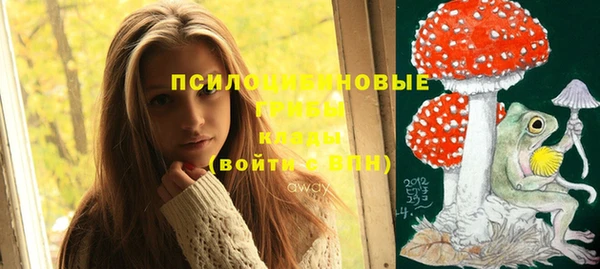 прущий лед Алзамай