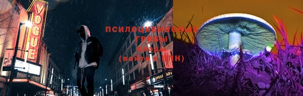 прущий лед Алзамай